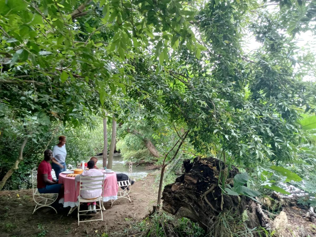 Shalom Place Of Peace Vasfontein Екстериор снимка